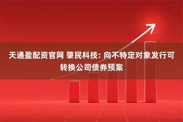 天通盈配资官网 肇民科技: 向不特定对象发行可转换公司债券预案