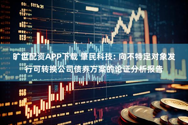 旷世配资APP下载 肇民科技: 向不特定对象发行可转换公司债券方案的论证分析报告